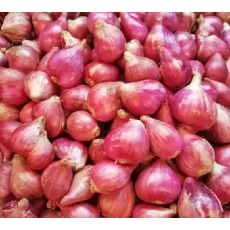 

BAWANG MERAH BREBES 2KG Bonus 100gram BISA COD