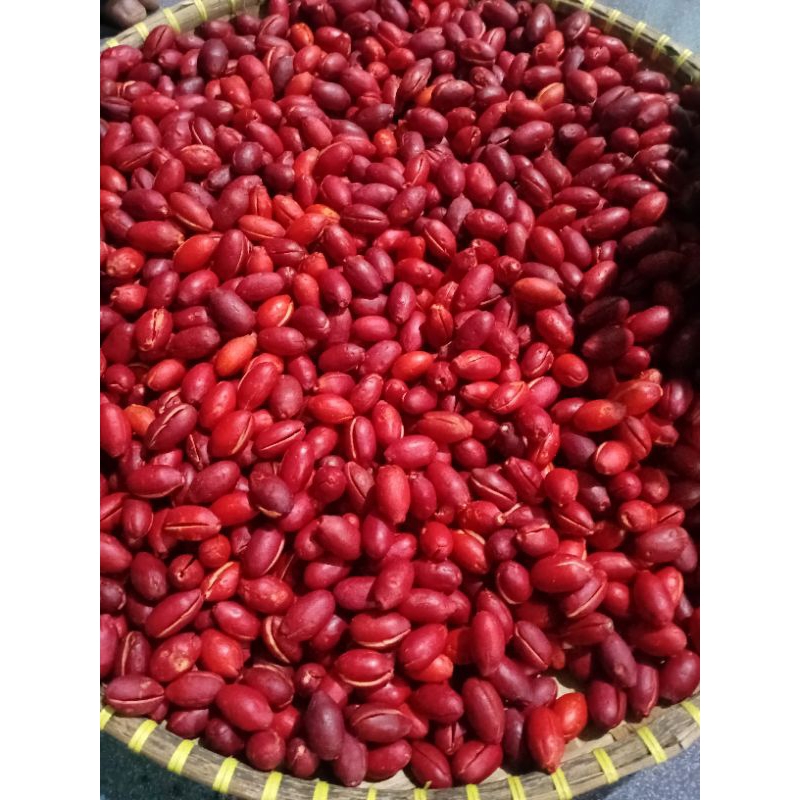 

2kg kulit buah melinjo full merah