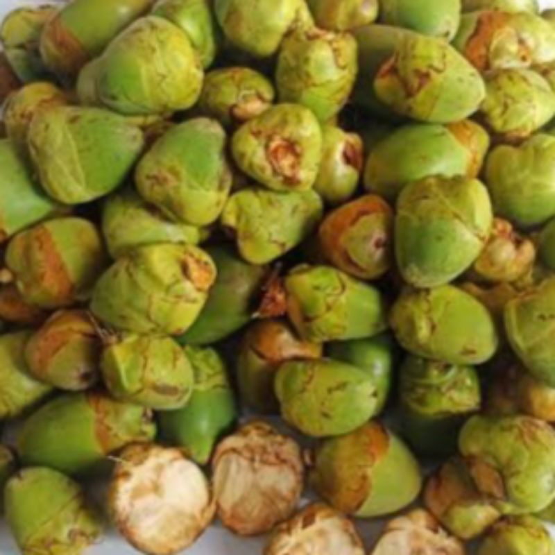 

Beluluk/Baruluk/Beruluk/Pentil Kelapa Obat Kutil Dan Diabetes