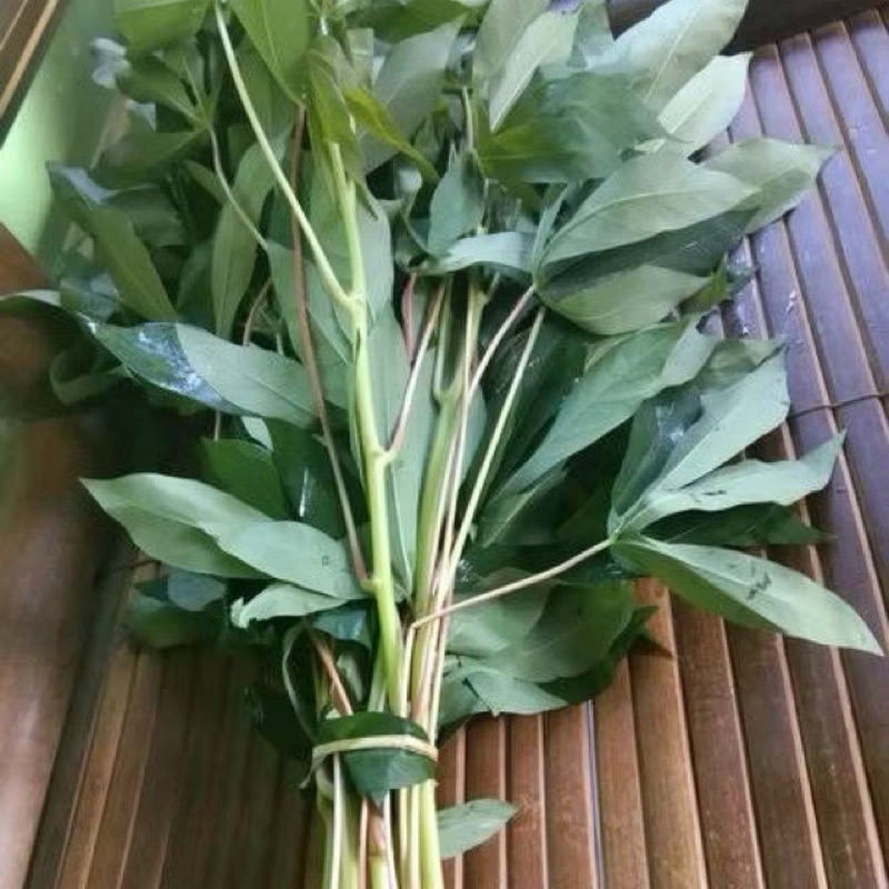 

daun singkong 1 ikat