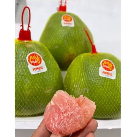 

Jeruk Pomelo
