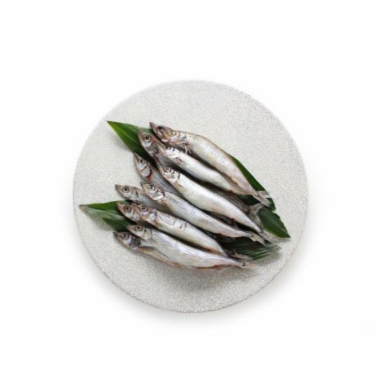 

IKAN SHISAMO PREMIUM FRESH