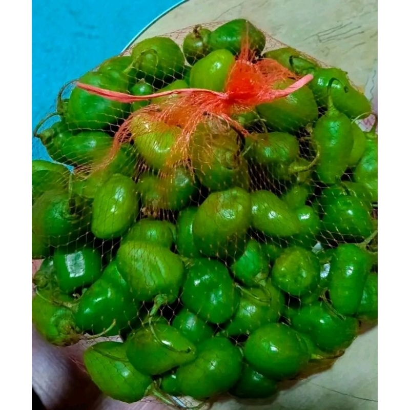 

1kg cabai gendot ukuran kecil , masih muda fresh tidak terlalu pedas
