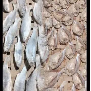

1000.gram/1kg.2in1.Ikan.Asin.Gulama.dan.ikan.asin.Belanak.Plus.bonus.