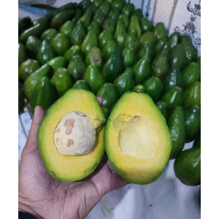 

Bisa Cod Buah Alpukat Mentega 1kg Bergaransi Alpukat Kuning Alpukat Mentega Legit Aadhya Official Store
