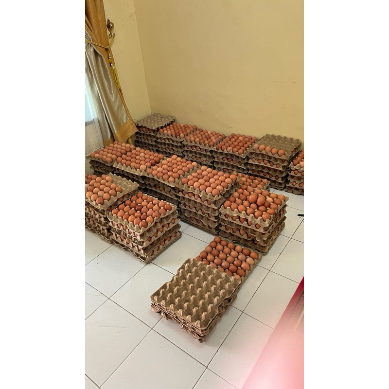 

telur ayam 30 butir ukuran kecil