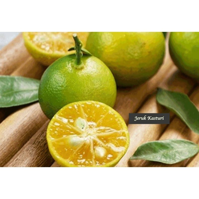 

JERUK SONGKIT/KASTURI Ukuran sedang 500 gram