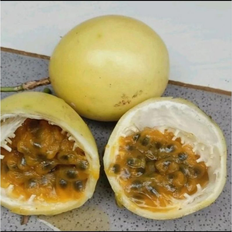

Buah markisa matang segar 1kg