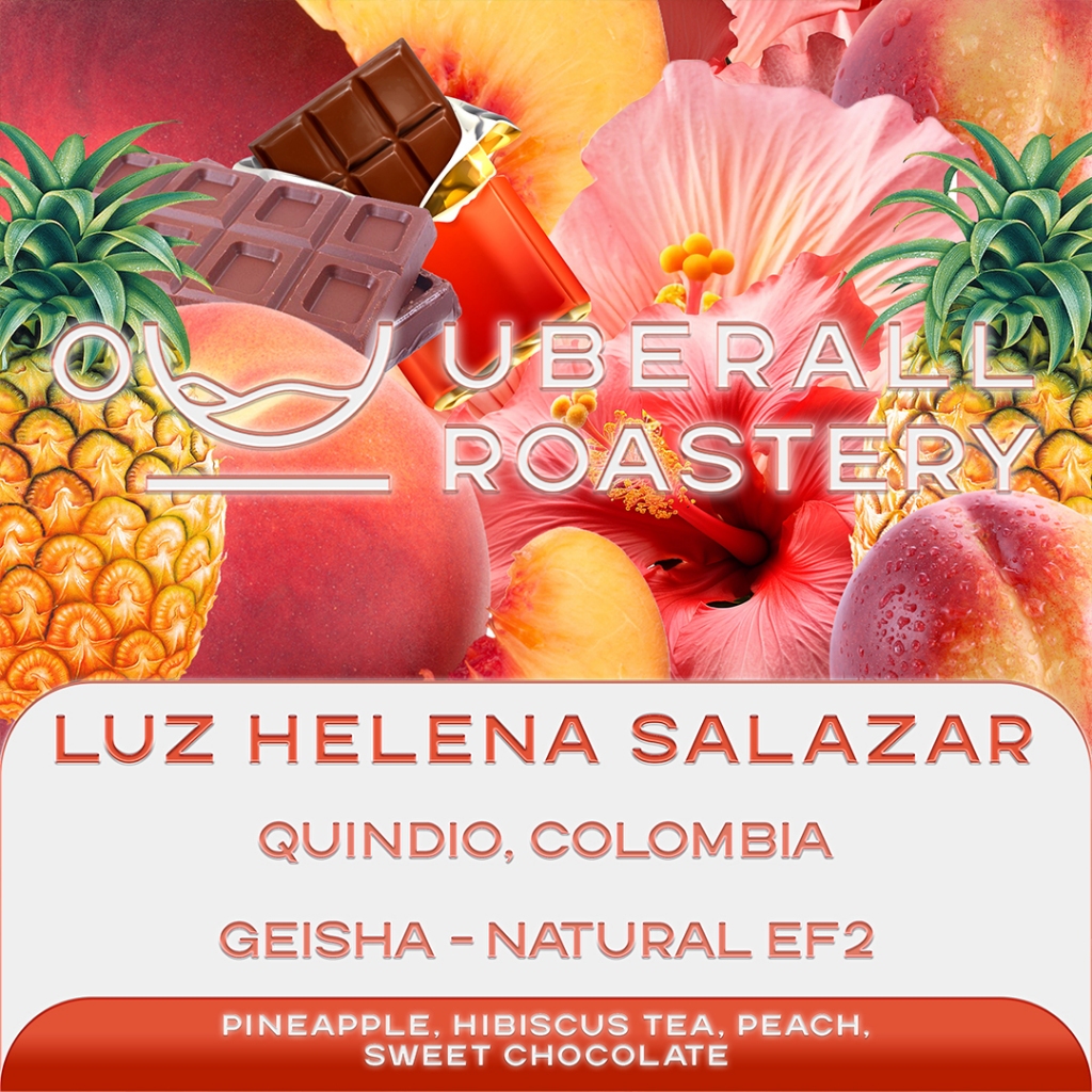 

Kopi Arabika Luz Helena Salazar Geisha Natural EF2, Roasted by Uberall Roastery