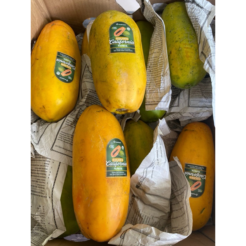 

Pepaya Callina | Pepaya Sunpride | Pepaya Lokal California