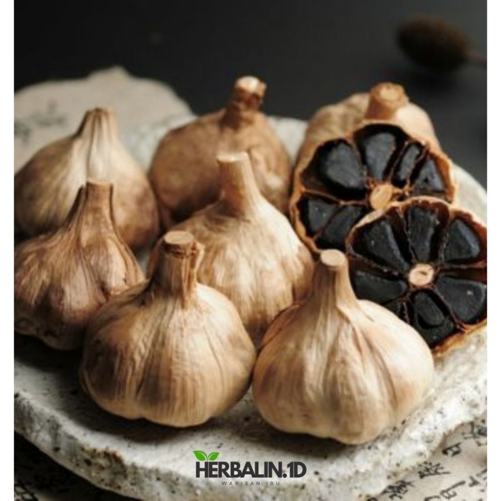 

Black Garlic / Bawang Hitam Kating Herbal / Bawang Hitam Fermentasi Bawang Hitam Premium