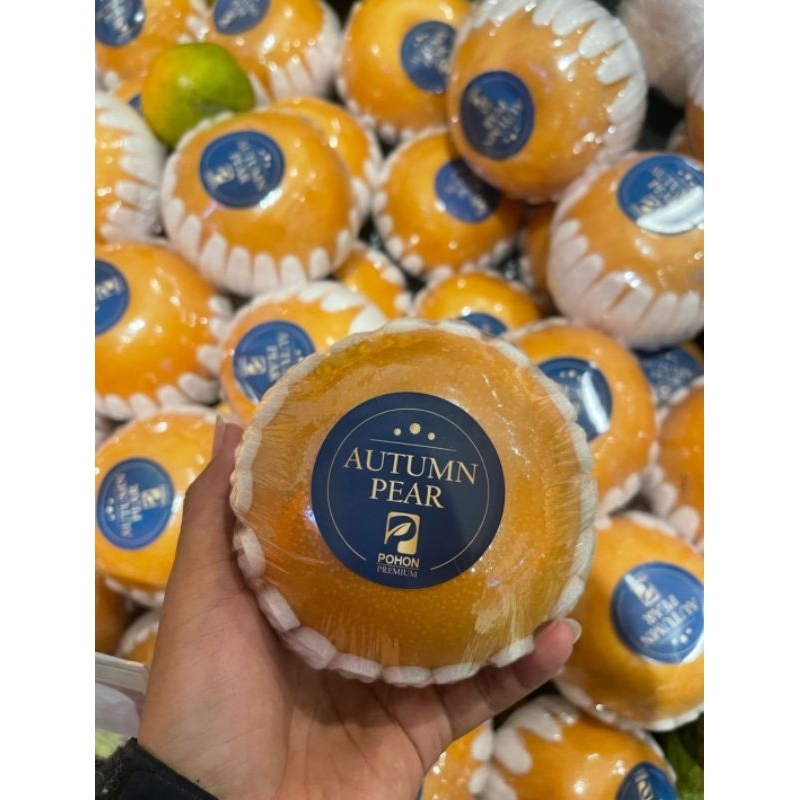 

Pear Autum Import 1 Kg Dari Pohon Berkualitas