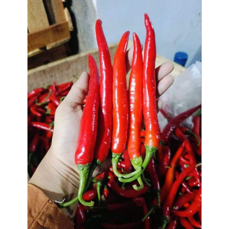 

Cabe merah besar 500gr