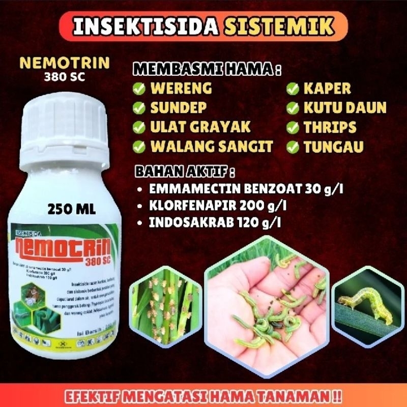 (TERLARIS) nemotrin insektisida 380 sc obat pembasmi hama gulma rumput liar padi racun ulat paling a