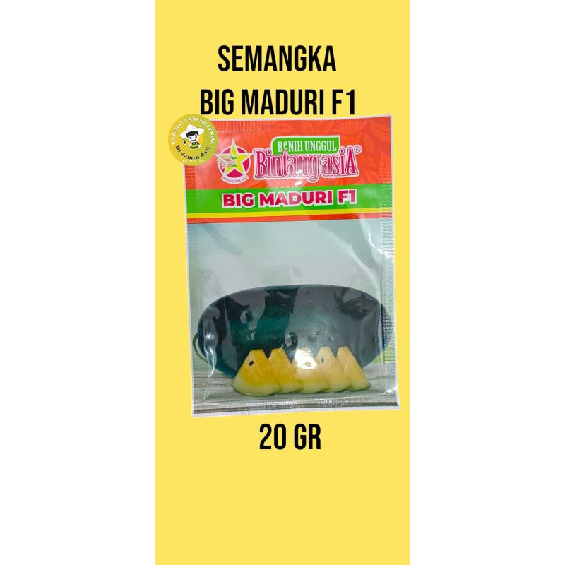 

Big maduri f1 Semangka Cap Bintang asia 20gr