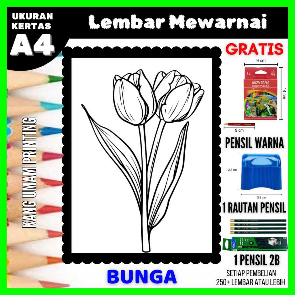 

Lembar Mewarnai Gambar Berbagai Macam Bunga Semua Usia Bagian 12, Sketsa , Kertas Mewarnai , Drawing