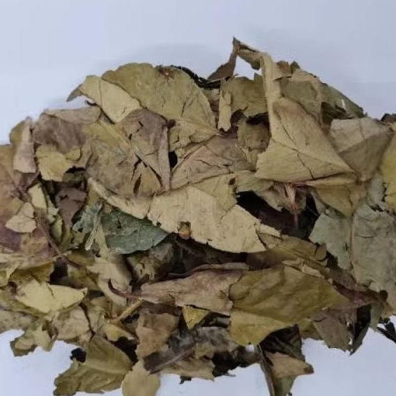 

Daun Salam Kering 100 Gram