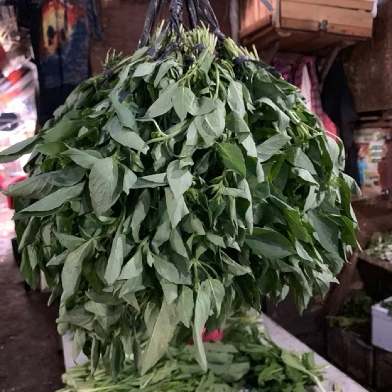 

Kemangi segar