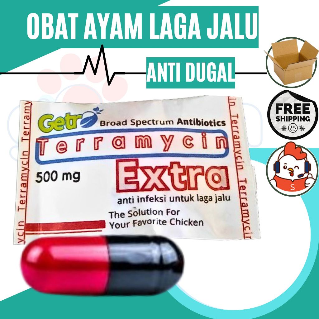 obat luka karena jalu ayam anti dugal gimca