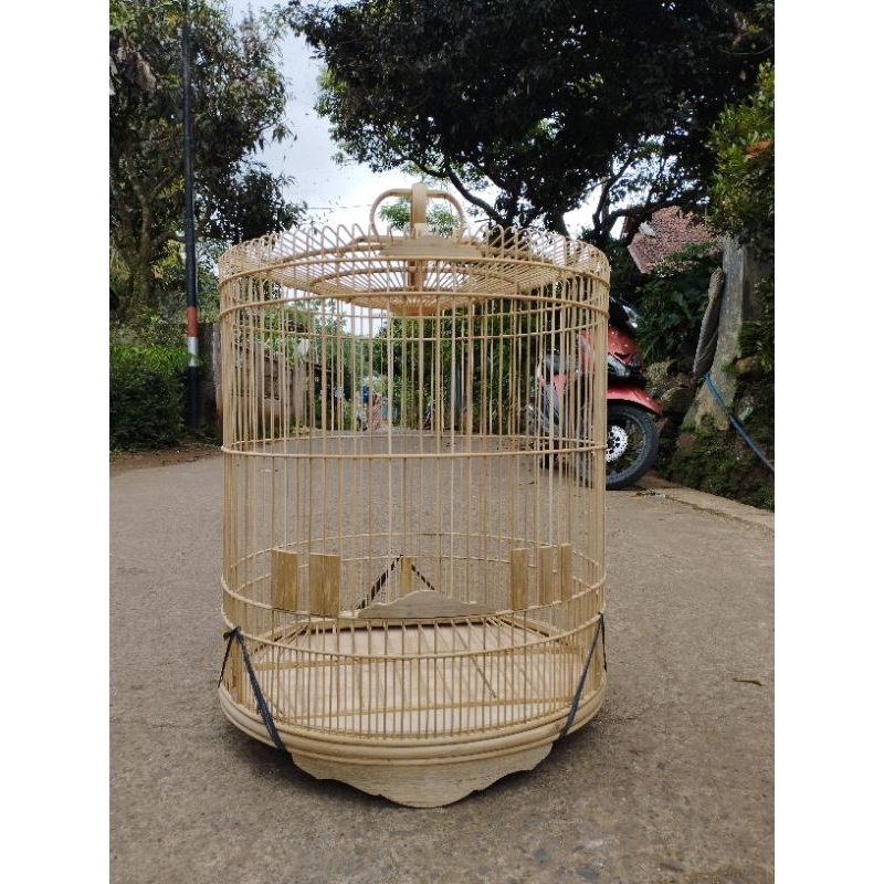 SANGKAR MURAI AMBRUKAN CEPER GANGSAR