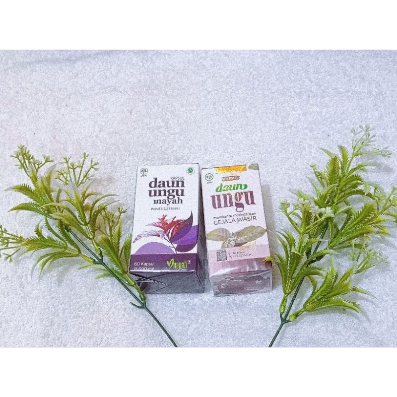 

Daun Ungu Inayah