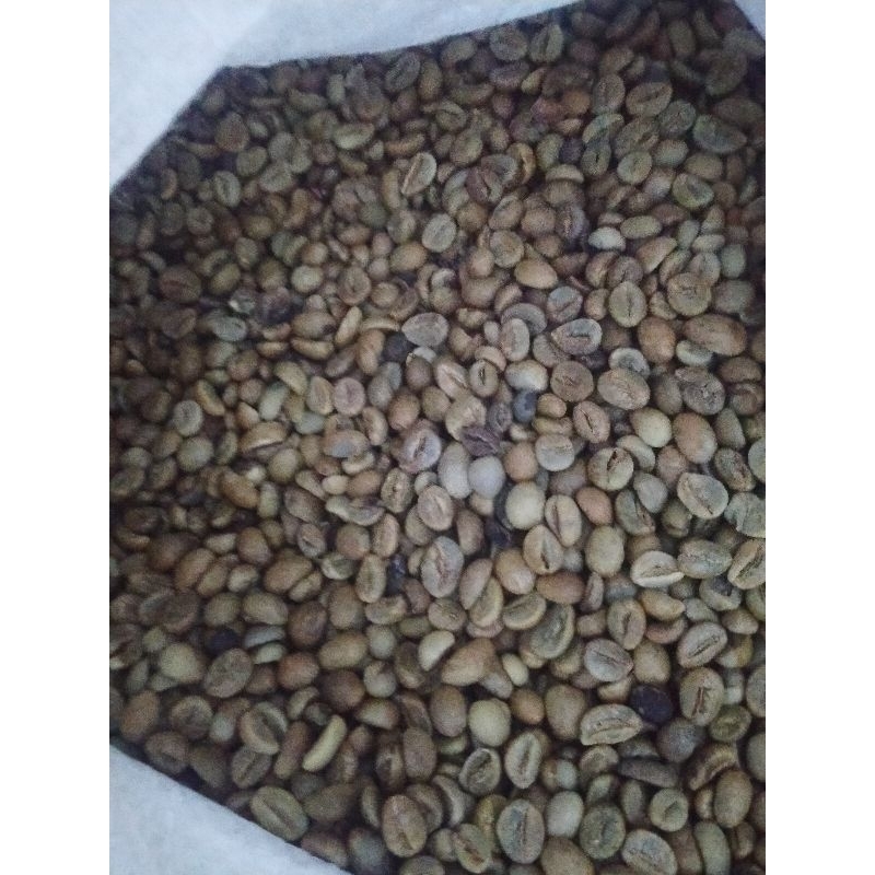 

robusta standar kering