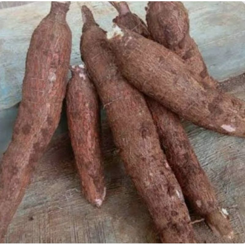 

Singkong lamong empuk 1kg