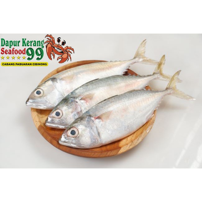

Ikan Kembung Frozen Murah 500gr 1/2 kg