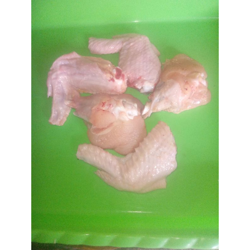 

sayap ayam patah