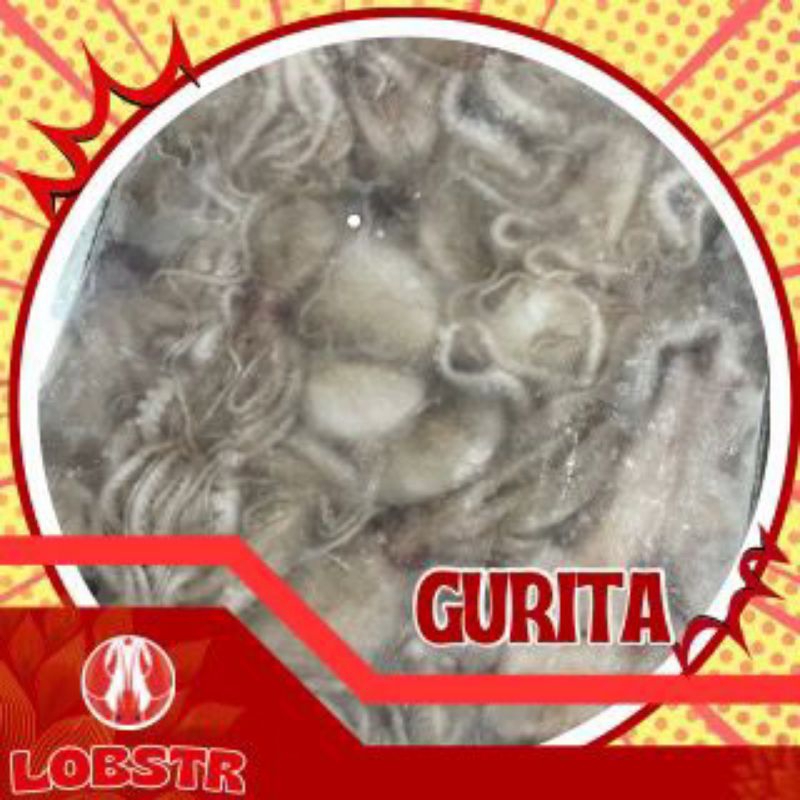 

Gurita Beku – Kualitas Ekspor 500gr | Fresh & Siap Masak