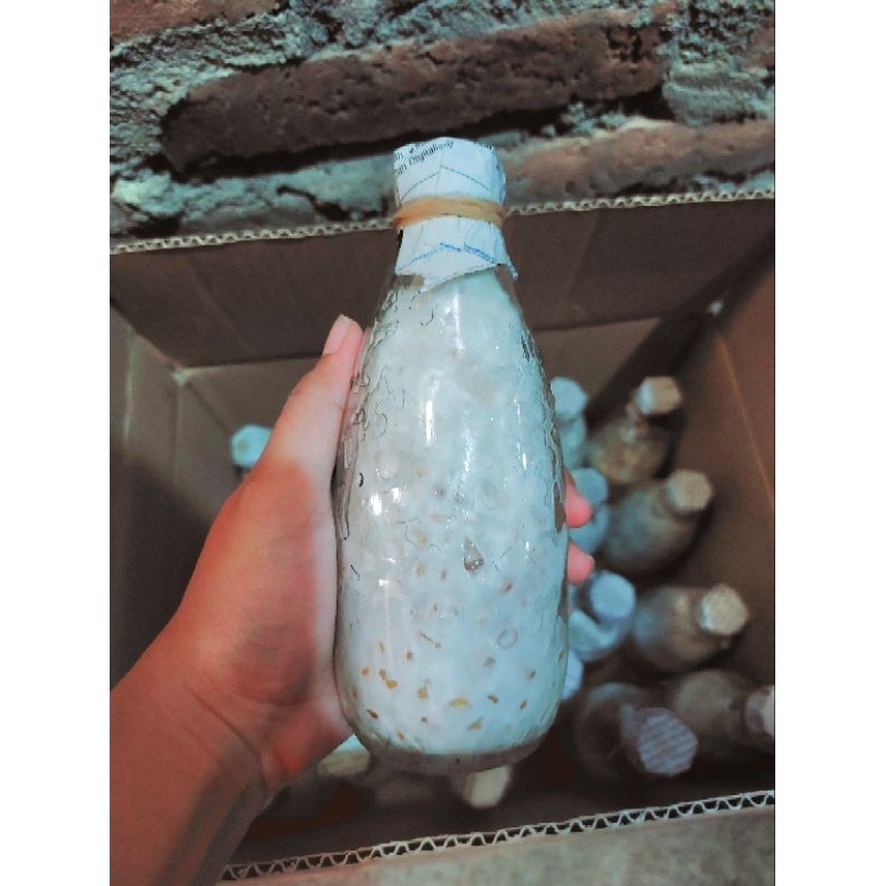 

riyuselstore - Bibit F2 Jamur Tiram Putih Florida Super Murah