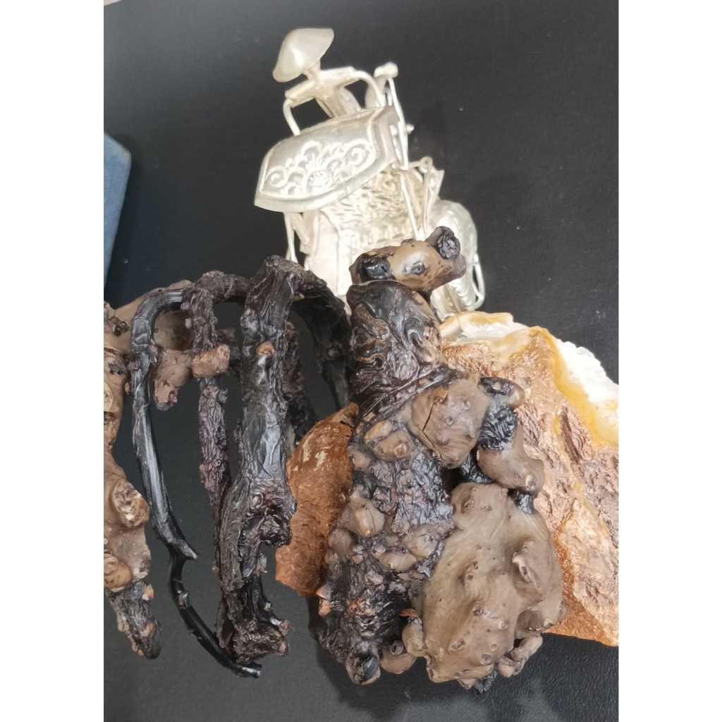 Gelang Akar Bahar Big Ukir Semar Handmade Unik