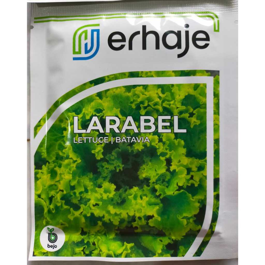 Benih Selada Batavia LARABEL 1000 Pills BejoSeed / Selada Larabel