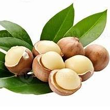 

Kacang macadamia 500gram roasted macadamia milk butter gratis alat pembukanya