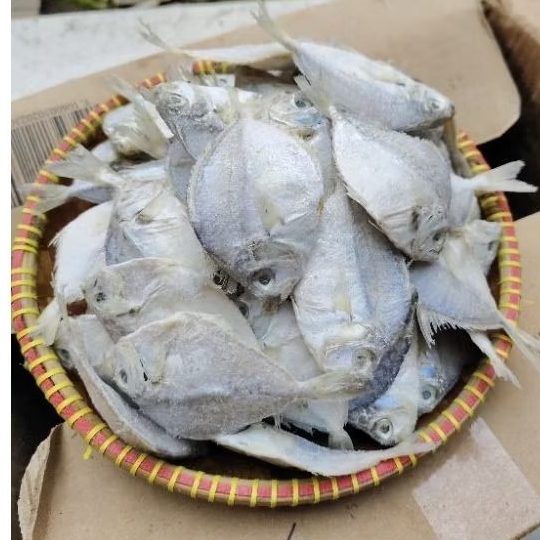 

ikan pirik jumbo / ikan dodok kering