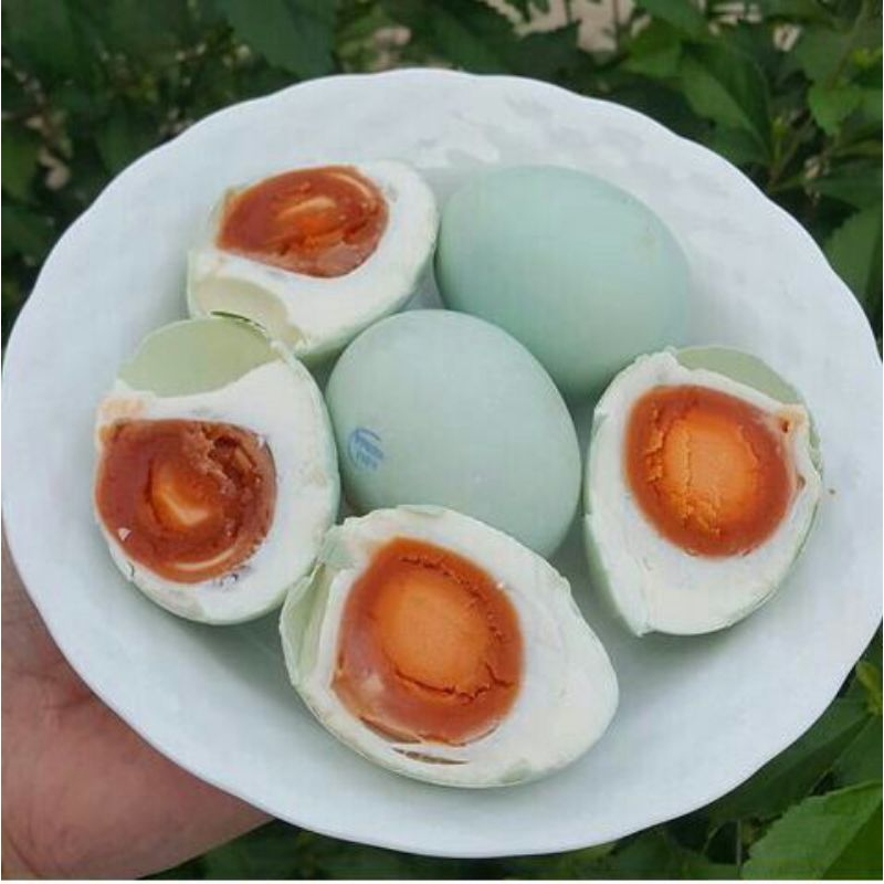 

TELOR ASIN OVEN