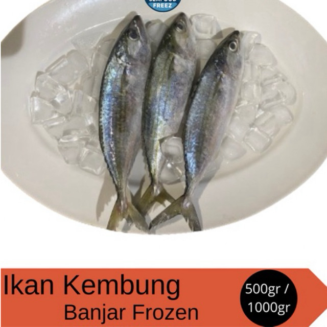

Ikan Banjar Size Besar Dijamin Segar - Frozen 500Gr/1kg