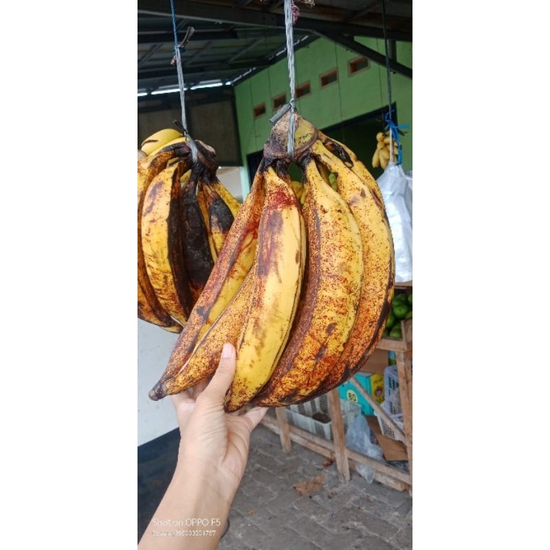 

pisang tanduk 1 pcs