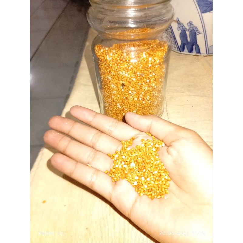 miled merah untuk pakan burung