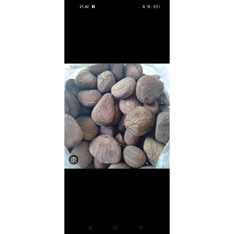 

picung rebus /kepayang /picung sayur