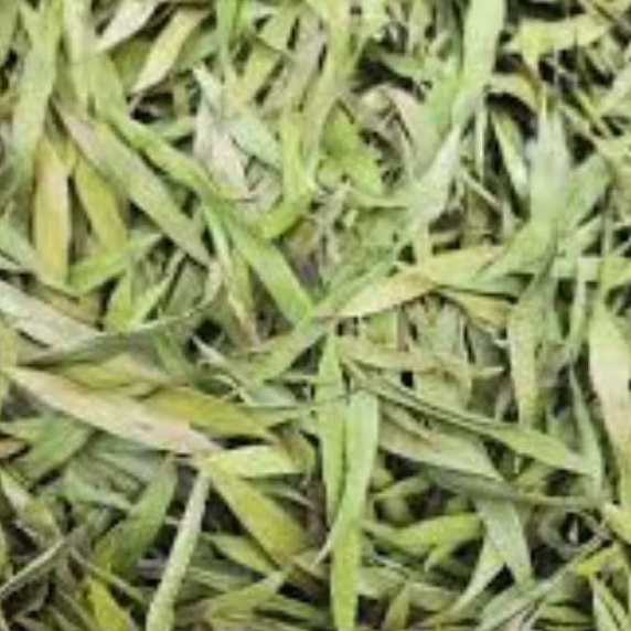 

Daun Kayu putih kering 250 Gram