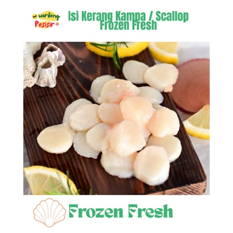 

ISI SCALLOP UKURAN SEDANG – BESAR | DIJUAL PER KILOGRAM
