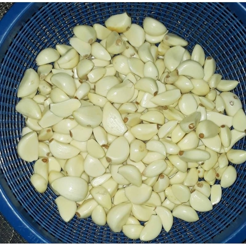 

Bawang Putih Kupasan biasa Berkualitas BAWANG PUTIH KUPAS BERSIH