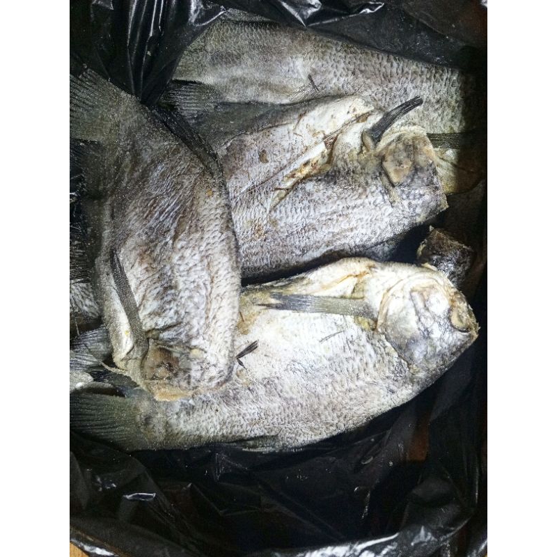 

Ikan Asin Sepat Kering Sedang 100gr/200gr/250gr