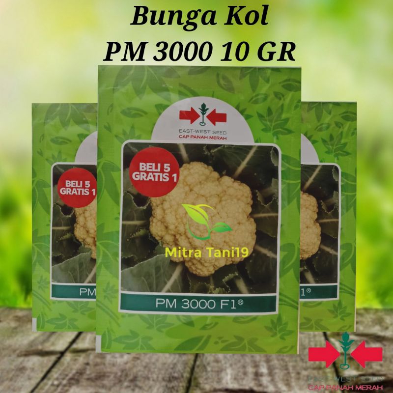 CAP PANAH MERAH Benih Bibit Bunga Kol PM 3000 F1 Isi 10 Gram