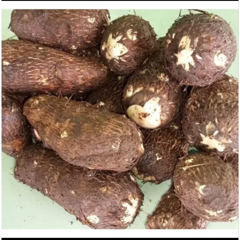 

UBI TALAS PULEN DAN KETELA POHON1 KG