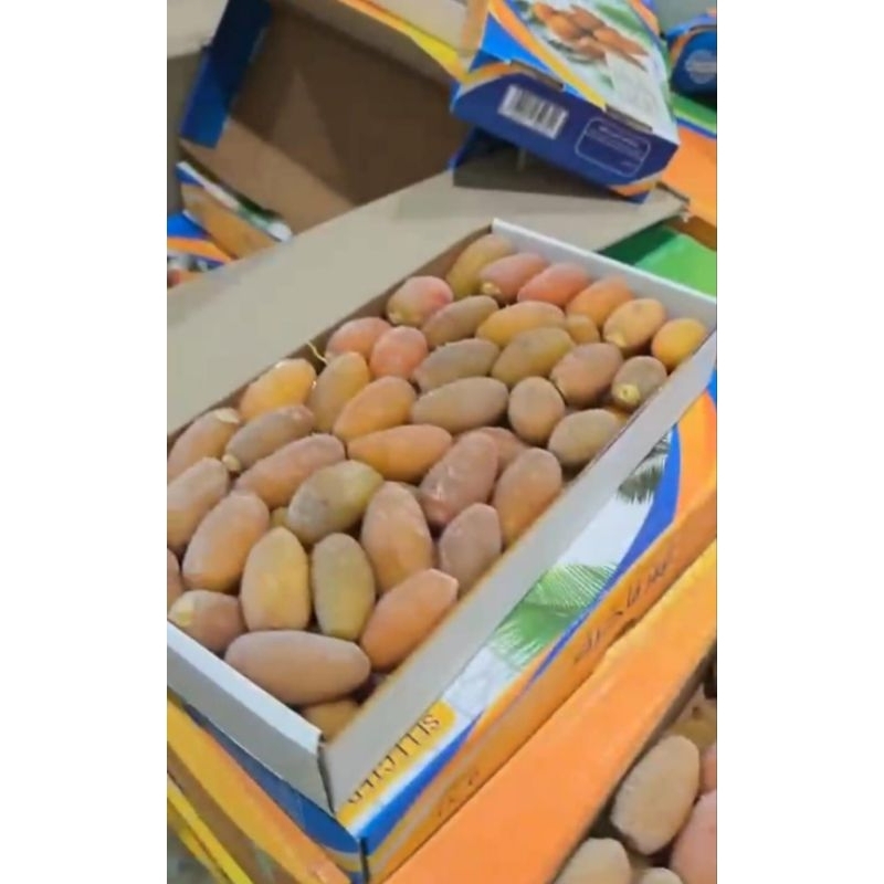 

camilan sehat kurma ruthob libyan 1kg