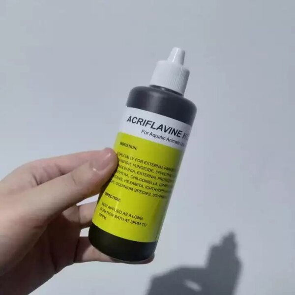 Blitz icht obat ikan obat kuning Obat ikan obat jamur ikan