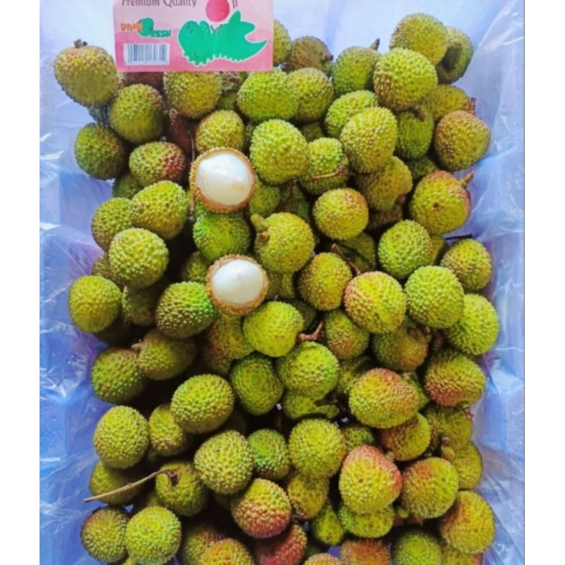 Lychee Hijau Buah Leci Dinofresh  Leci segar 1 keranjang 5 kg