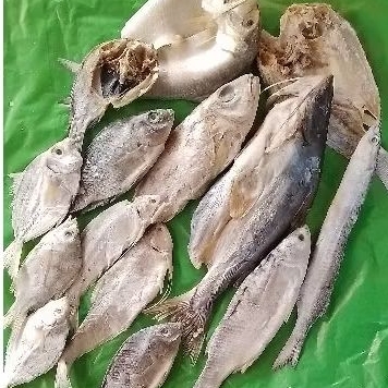 

1000.GRAM.PROMO.1111.IKAN.ASIN.CAMPUR.IKAN.ASIN.BELANAK.DAN.IKAN.ASIN.LAIN